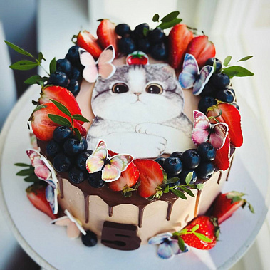 Торт "Котенок" купить - первоуральск.сладкоежкин.рф